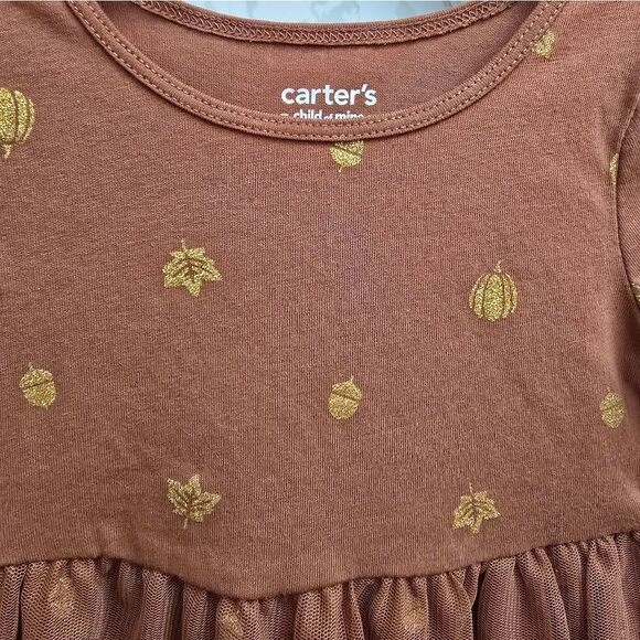 Carter's Girls Thanksgiving Tulle Dress, Sizes 12 months, 2T - Picture 5 of 8